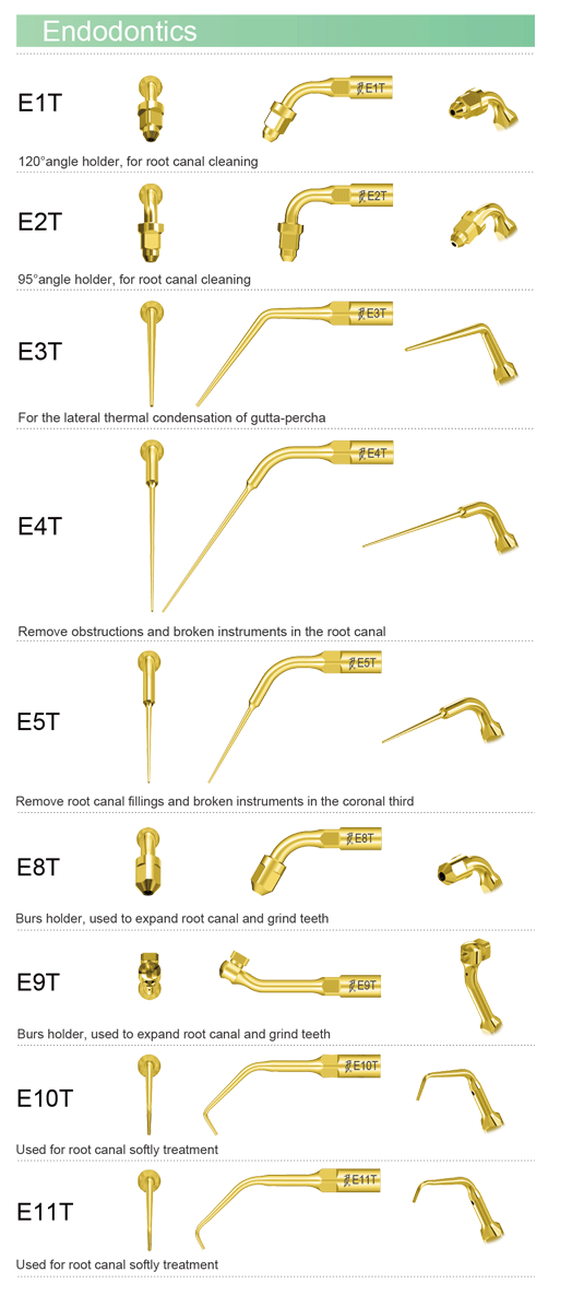 Tips for Woodpecker EMS Mectron